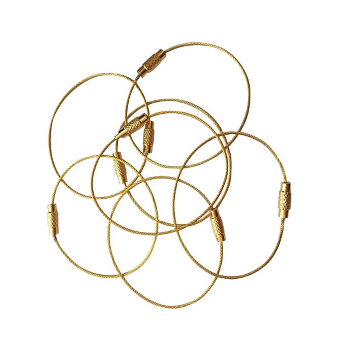 Gold Stainless Steel Wire Keychain